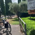 Rent Top E-bike for an epic day in Rome - Key Points