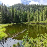 Retezat National Park: Full day hike from Cluj Napoca - The Practical Details