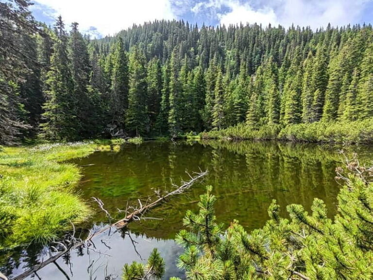 Retezat National Park: Full day hike from Cluj Napoca - The Practical Details