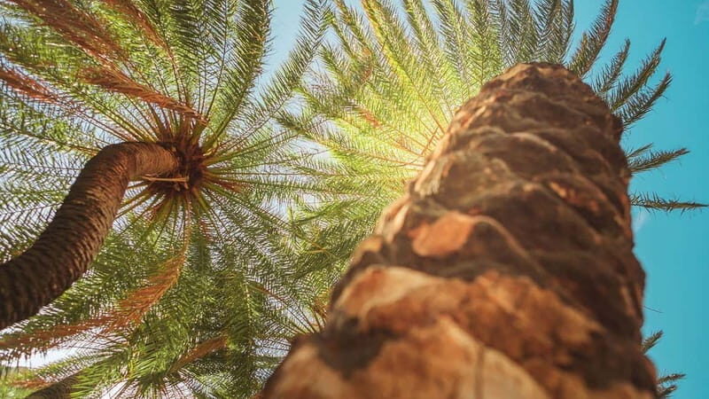 Rethymno Bali/Panormo:Preveli Palm Beach-Waterfall-Monastery - What’s Included and What to Consider