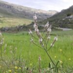 Rethymno: Private SUV Tour South Cretes Villages & Nature - Who Would Love This Tour?