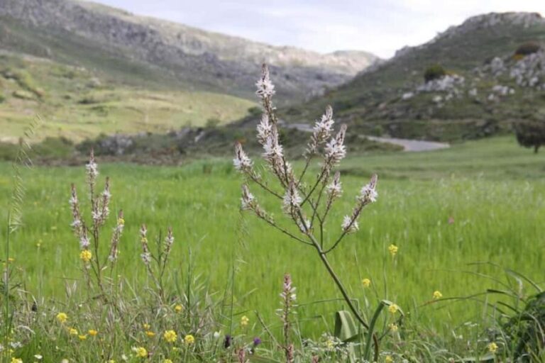 Rethymno: Private SUV Tour South Cretes Villages & Nature - Who Would Love This Tour?