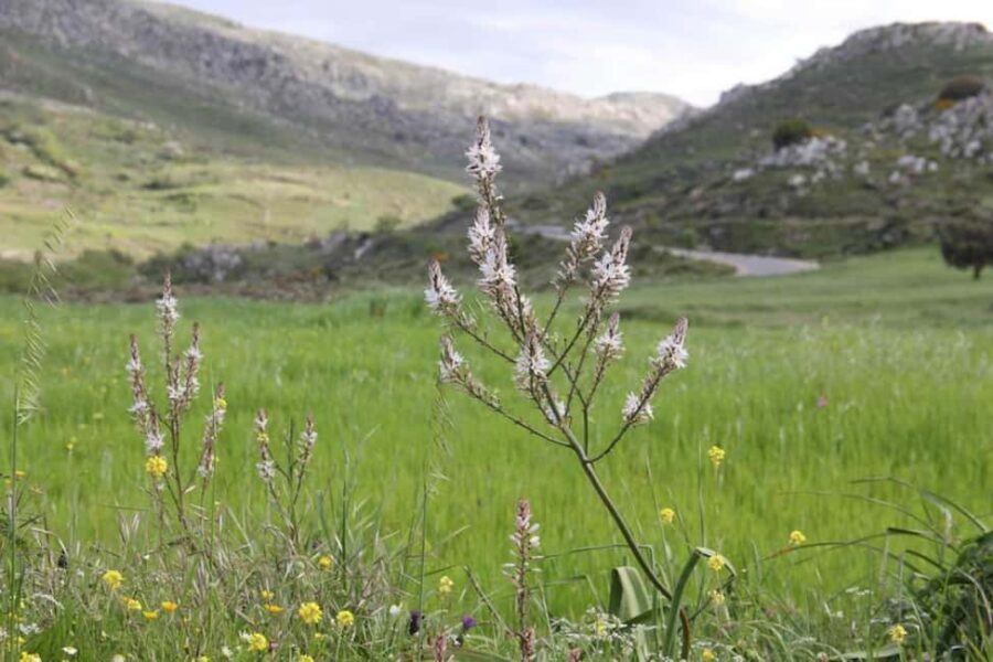 Rethymno: Private SUV Tour South Cretes Villages & Nature - Who Would Love This Tour?