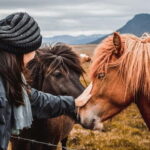 Reykjavík: 5-Day Northern Lights Hunt & Glacier Lagoon Tour - What Makes This Tour Stand Out?