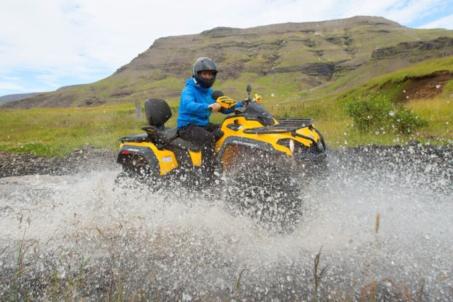 Reykjavik: ATV Ride & Whale Watching Boat Tour - Practical Details and Tips