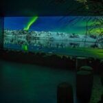 Reykjavik: Aurora Reykjavik The Northern Lights Center Entry - The Practicalities: What You Need to Know