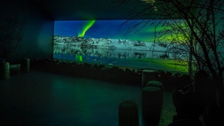 Reykjavik: Aurora Reykjavik The Northern Lights Center Entry - The Practicalities: What You Need to Know