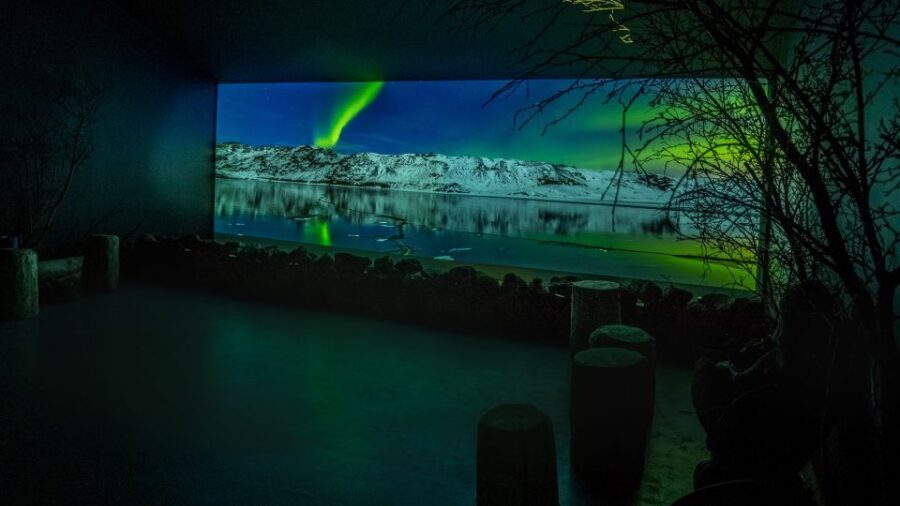 Reykjavik: Aurora Reykjavik The Northern Lights Center Entry - The Practicalities: What You Need to Know