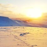 Reykjavik: Buggy Safari Tour with Hotel Transfers - Meeting the Buggies: The Off-Road Adventure Begins