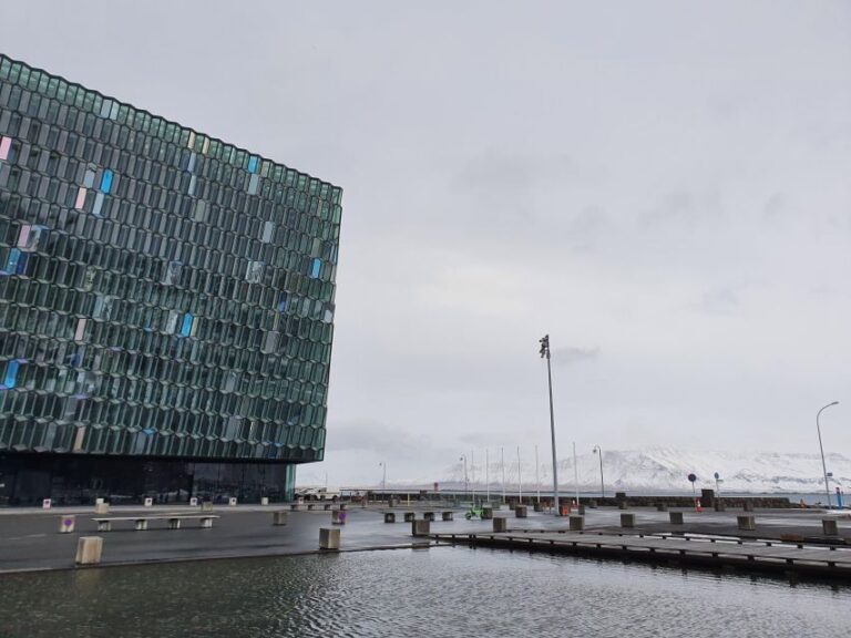 Reykjavik City - Half Day Private Tour - An In-Depth Look at the Reykjavik Private Tour