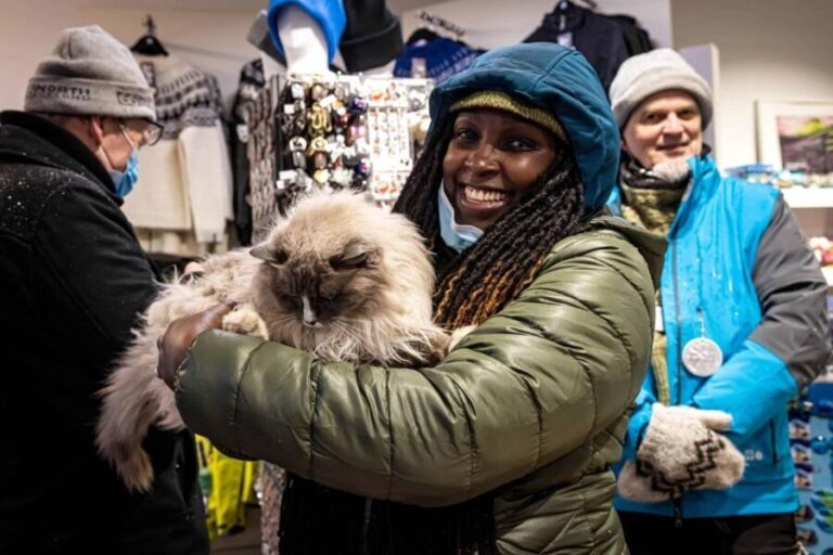 Reykjavik: Feline-Focused City Walking Tour - Detailed Review of the Tour