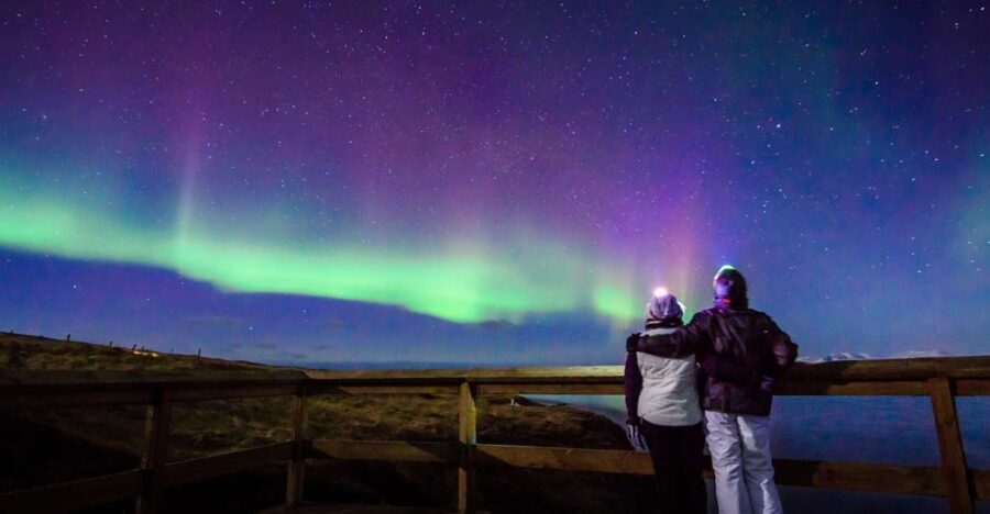 Reykjavík: Group Northern Lights Tour with Pics & Hot Cocoa - What the Reviews Reveal