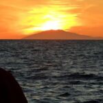 Reykjavik: Midnight Sun Whale Watching Tour - Practical Details and Value