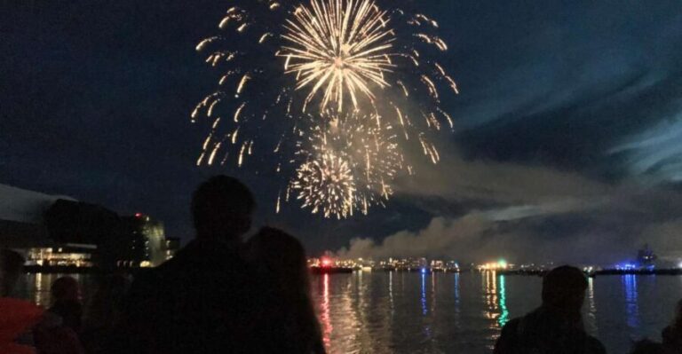 Reykjavik: New Year's Eve Fireworks Cruise - Final Thoughts: Is This Cruise Right for You?