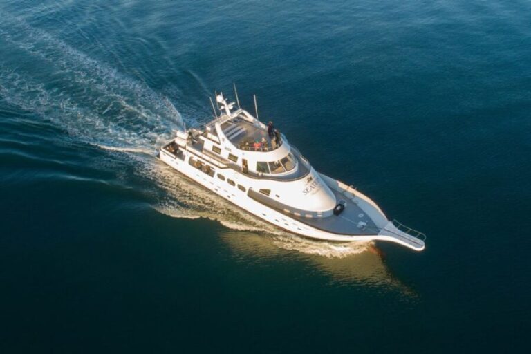 Reykjavik: New Years Fireworks Midnight Cruise - The Experience on Board