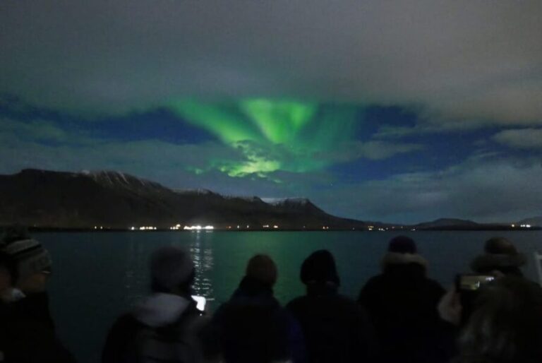 Reykjavik: Northern Lights Guided Boat Tour with Photos - Who Will Love This Tour?
