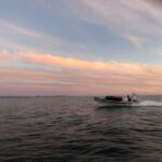 Reykjavik: Premium Whale and Puffin Watching Evening Tour - The Value of the Experience