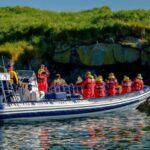 Reykjavik: Puffin Watching Tour - Practical Details That Matter