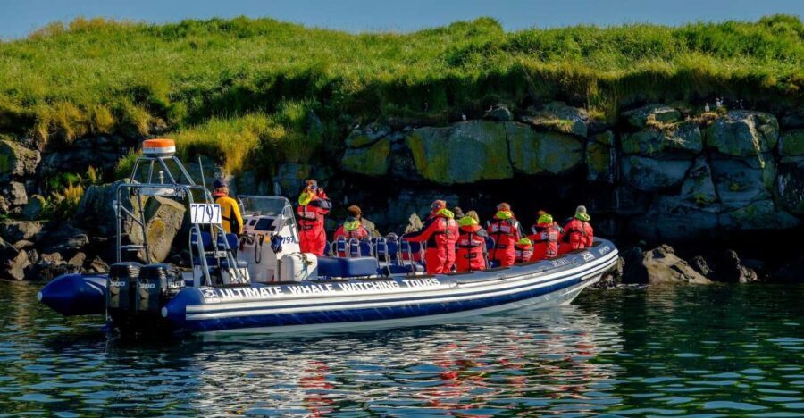 Reykjavik: Puffin Watching Tour - Practical Details That Matter