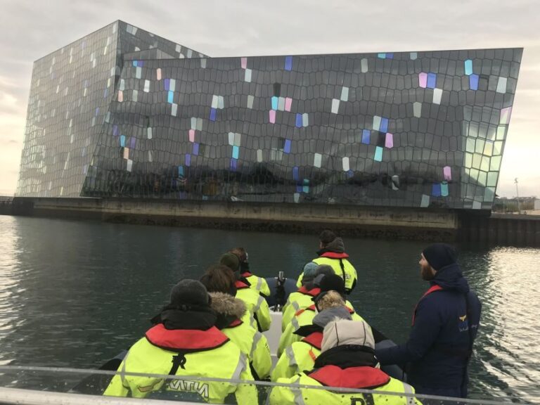 Reykjavík: RIB Speed-Boat Puffin Watching Tour - Who Should Consider This Tour?