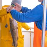 Reykjavik: Sea Fishing Boat Tour & BBQ with the Day's Catch - The Itinerary Breakdown