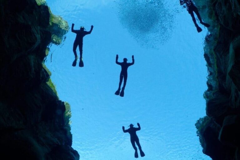 Reykjavík: Silfra Fissure Snorkeling between Two Continents - Why You Should Consider This Tour