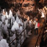 Reykjavik: Silfra Snorkeling & Lava Tunnel Adventure Combo - Who Should Do This Tour?