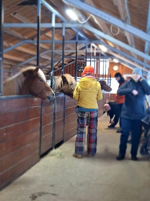 Reykjavik: Silver Circle of West Iceland Day Tour - The Experience of the Transport and Guides