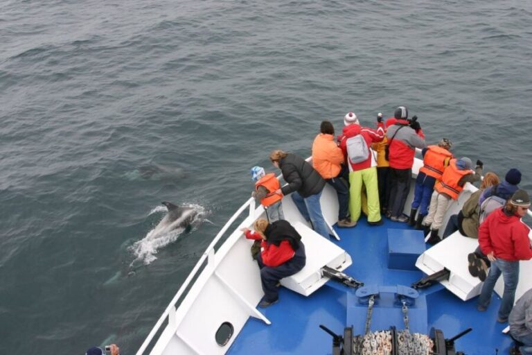 Reykjavik: the Original 3-Hour Whale Watching Tour - How Does It Value Up?