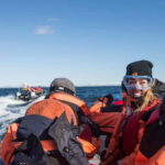 Reykjavik: Whale and Puffin Watching RIB Boat Tour - Pricing and Value