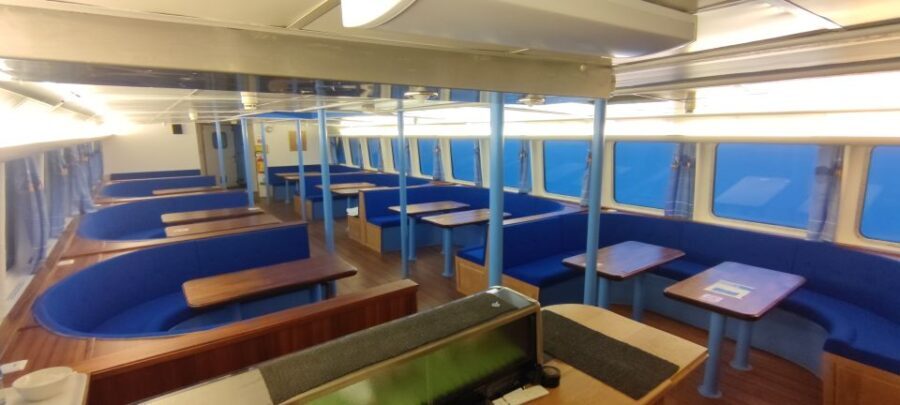 Reykjavik: Whale & Marine Adventure Tour - Who Would Love This Tour?