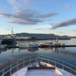 Reykjavik: Whale Watching and Dolphin Watching Yacht Cruise - What to Expect During the Cruise