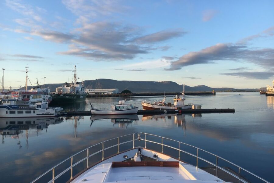 Reykjavik: Whale Watching and Dolphin Watching Yacht Cruise - What to Expect During the Cruise