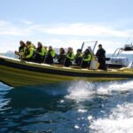 Reykjavik: Whale Watching by RIB Speedboat - How This Tour Stacks Up