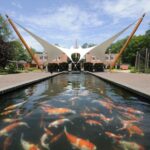 Rhenen: Ouwehands Zoo Entry Ticket - The Guided Experience and Educational Value