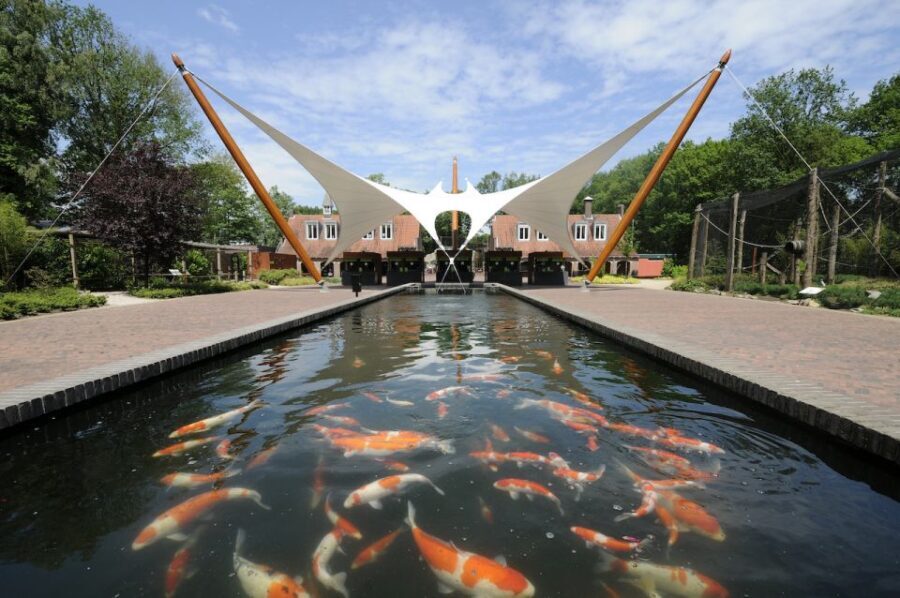 Rhenen: Ouwehands Zoo Entry Ticket - The Guided Experience and Educational Value