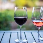 Rhine Valley: Half Day Tour from Frankfurt - The Charm of the Small Villages and Vineyards