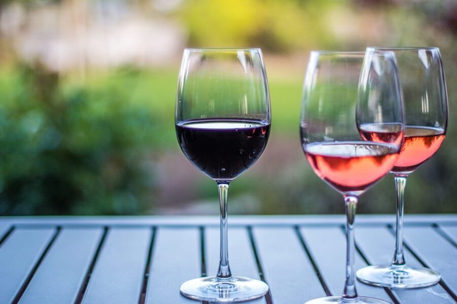 Rhine Valley: Half Day Tour from Frankfurt - The Charm of the Small Villages and Vineyards