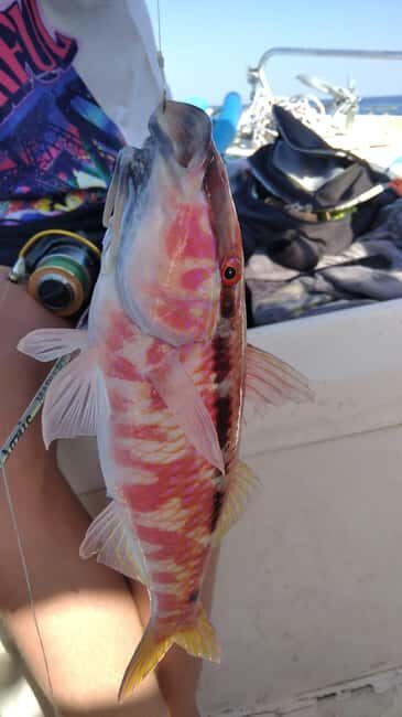 Rhodes: 4 Hour Private Boat Fishing Trip with Equipment - Value for Money and Practical Considerations