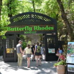 Rhodes: Butterfly Valley and Lindos Day Trip with Transfer - Climbing Lindos: A Glimpse into Ancient Greece