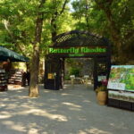 Rhodes: Butterfly Valley Half-Day Bus Trip - What to Expect During Your Visit