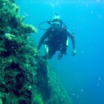 Rhodes: Diving Adventure for Beginners and Experts - Detailed Breakdown of the Itinerary