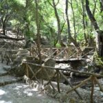 Rhodes: Filerimos hill and Butterflies Valley-Small Group - A Closer Look at the Itinerary and Experience