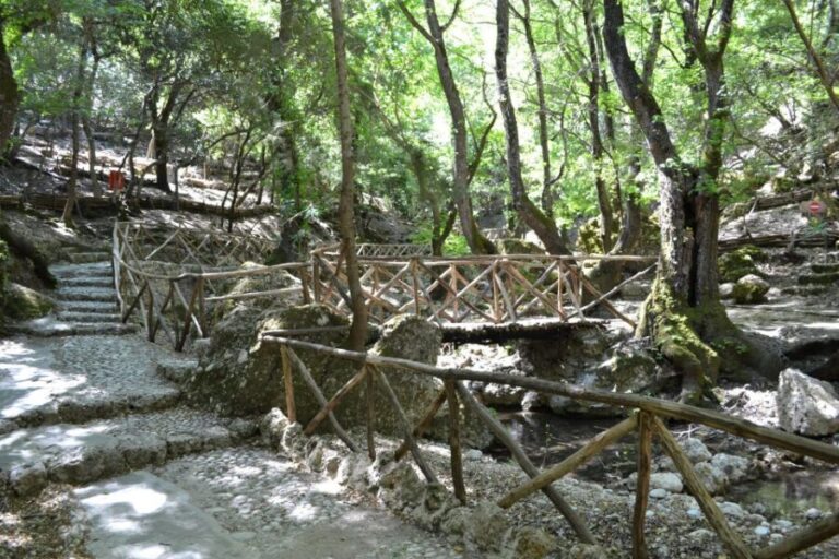 Rhodes: Filerimos hill and Butterflies Valley-Small Group - A Closer Look at the Itinerary and Experience