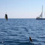 Rhodes: Fishing Boat Trip (Small Group, Food & Drinks incl.) - What’s Included and What’s Not