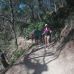 Rhodes: Guided Hike to 7 springs from Archangelos - The Trail and What You’ll Experience