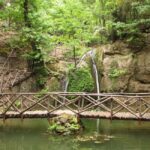 Rhodes: Guided Tour to the Islands Highlights - Who Should Book This Tour?