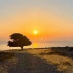 Rhodes: Pefkos-Navarone Bay, the magic of sunrise - Why this experience is worth considering