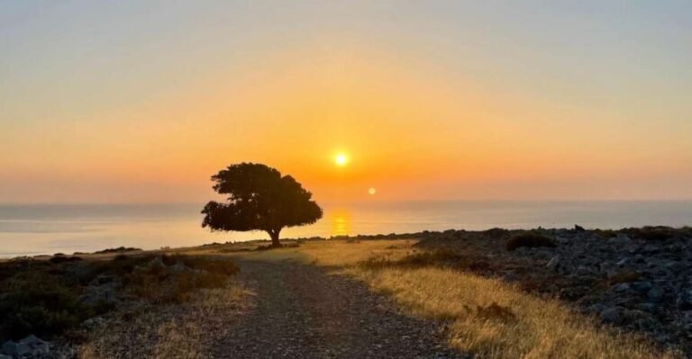 Rhodes: Pefkos-Navarone Bay, the magic of sunrise - Why this experience is worth considering