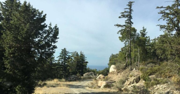 Rhodes South Safari: Mountains & Local Flavors - Practical Details & What to Expect